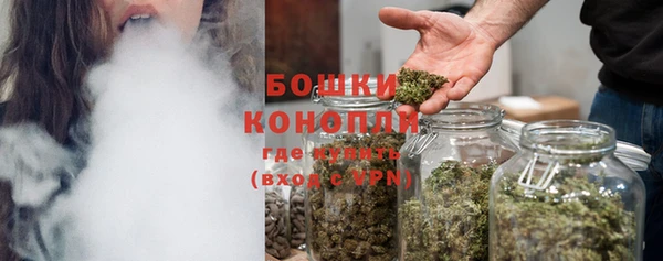 молекула духа Белокуриха