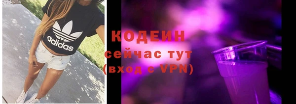 шишки Белоозёрский