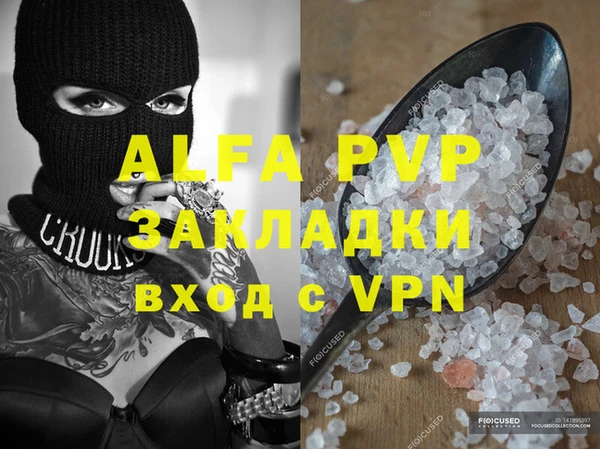 шишки Белоозёрский